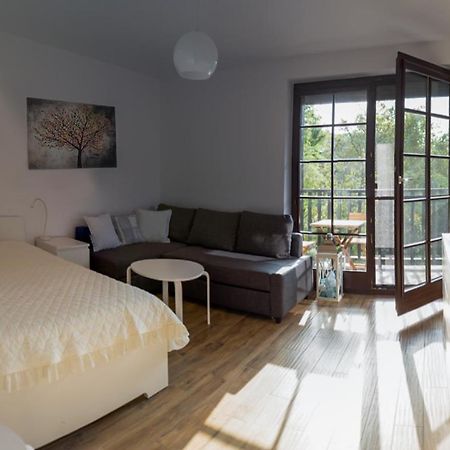 קז'ימייז' דולני Apartament Kameralny מראה חיצוני תמונה