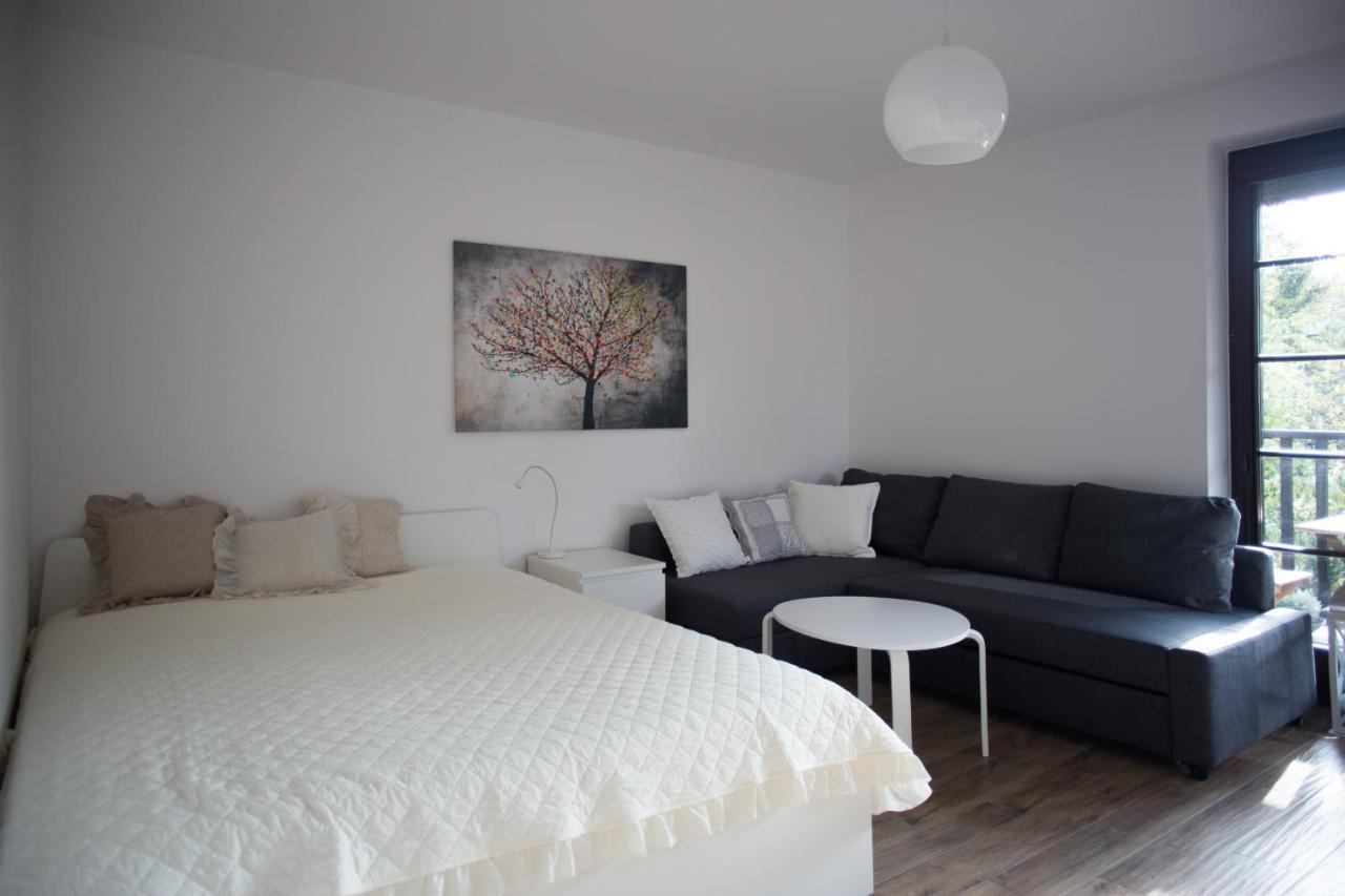 קז'ימייז' דולני Apartament Kameralny מראה חיצוני תמונה