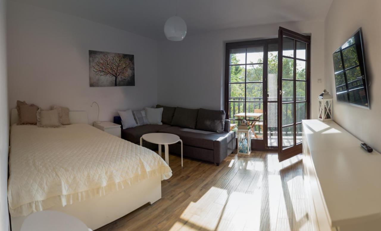 קז'ימייז' דולני Apartament Kameralny מראה חיצוני תמונה
