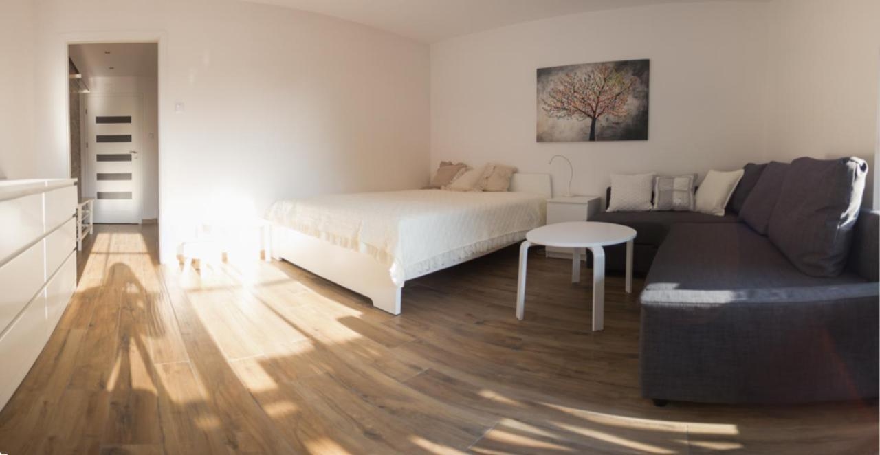 קז'ימייז' דולני Apartament Kameralny מראה חיצוני תמונה
